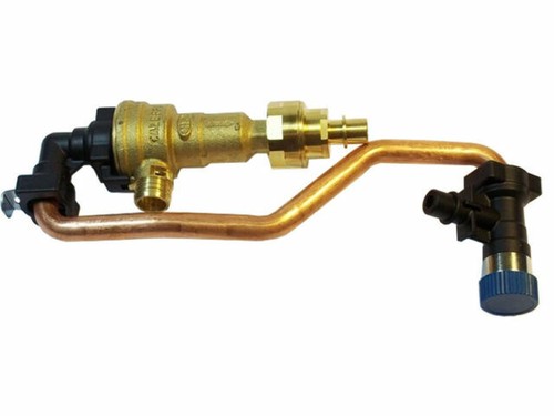 Glow worm cxi - glow-worm,
