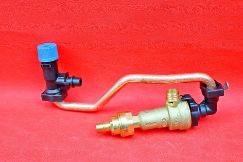 Glow worm filling - glow-worm,