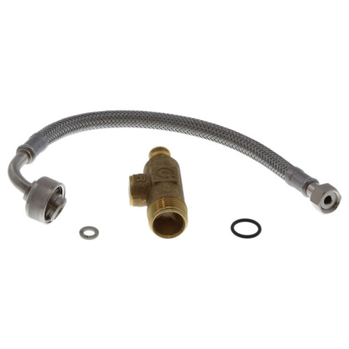 Glow worm 20026414 - glow-worm,